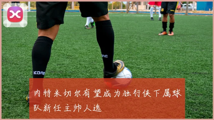 内特米切尔有望成为独行侠下属球队新任主帅人选